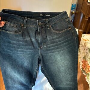 1822 Denim Adrianna Size 10 jeans